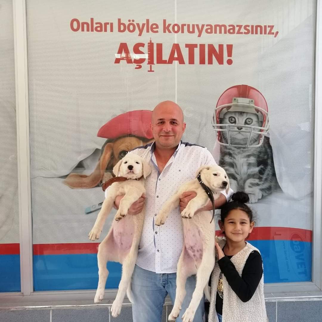 Antalya Pet Point Veteriner Kliniği